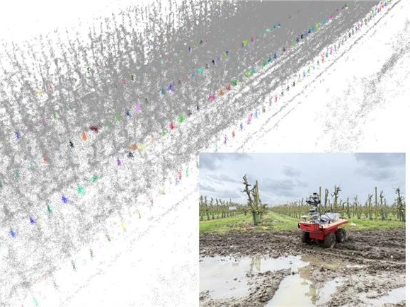 LiDAR point cloud of an orchard with a field robot on trials